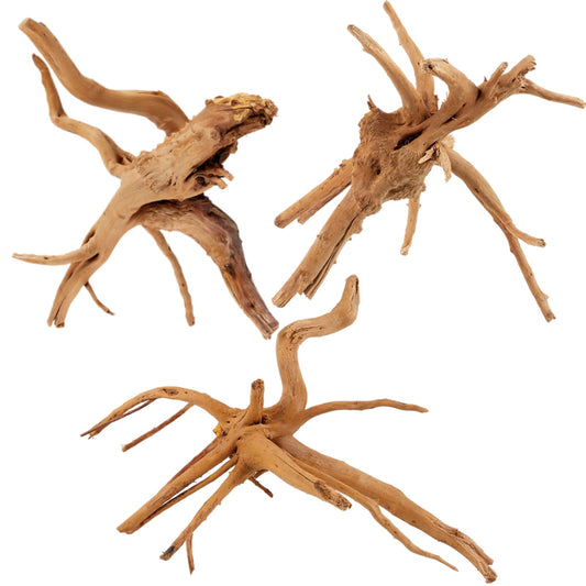 Spiderwood Driftwood